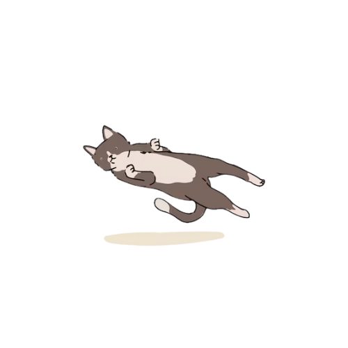 Flying Cat