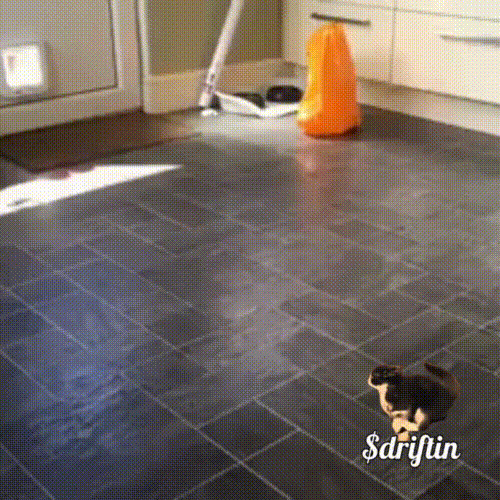 Lightning Fast - Drifting Cat